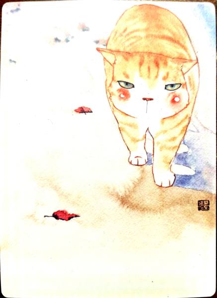 明信片照片
