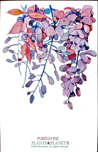 明信片照片