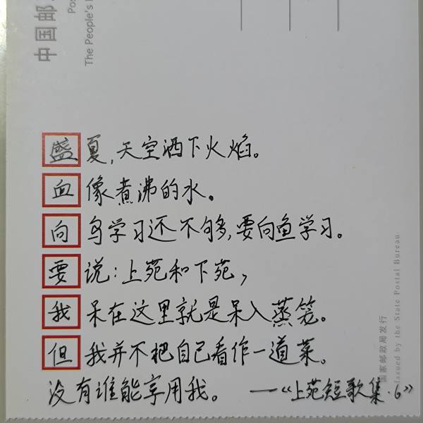 明信片照片