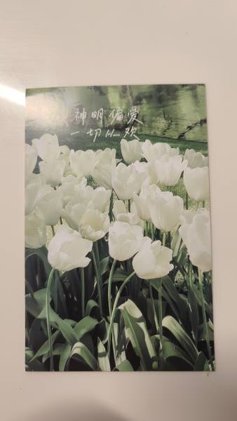 明信片照片