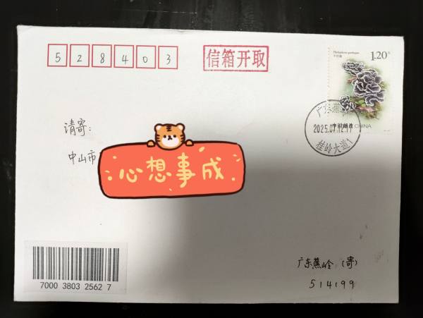 明信片照片