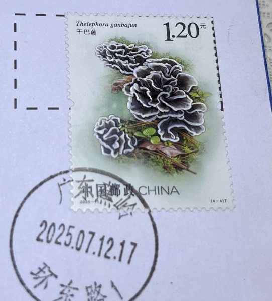 明信片照片