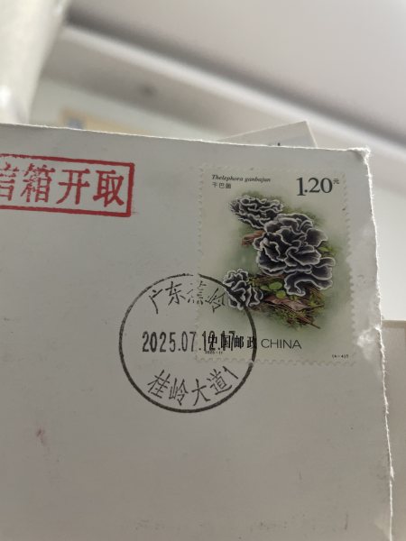 明信片照片