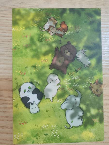明信片照片