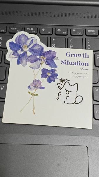 明信片照片