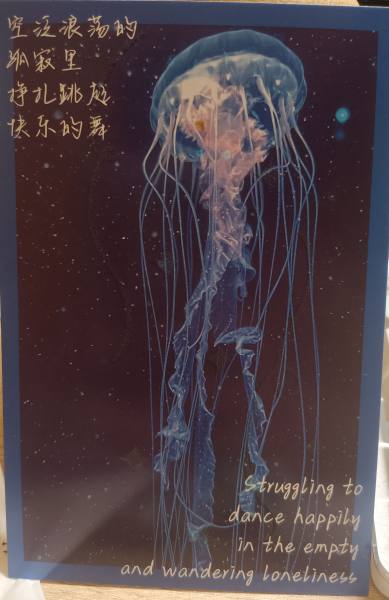 明信片照片