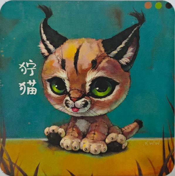 明信片照片