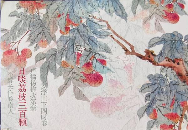明信片照片