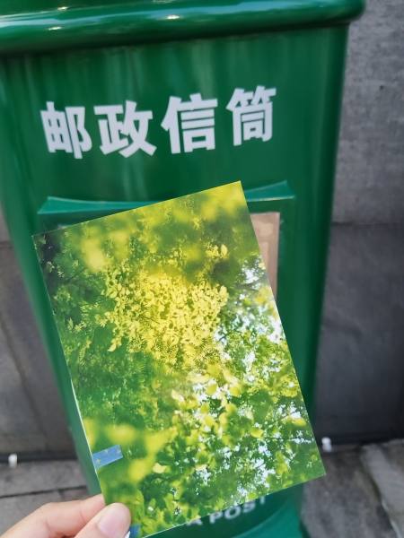明信片照片