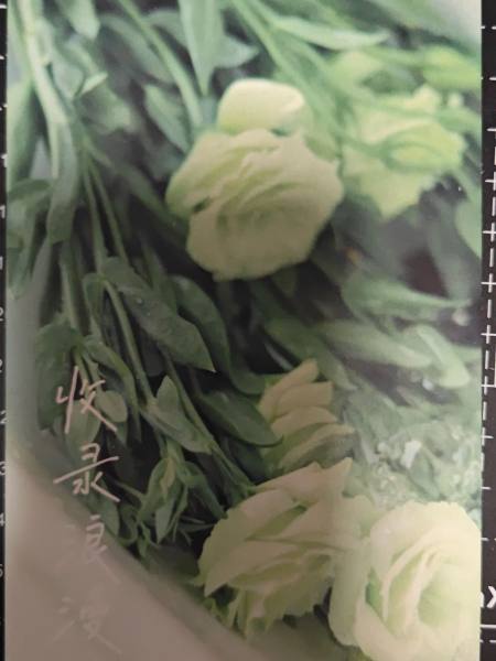 明信片照片