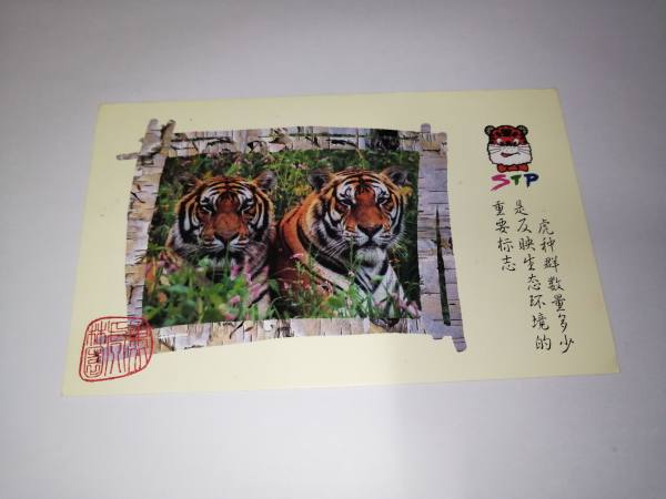 明信片照片