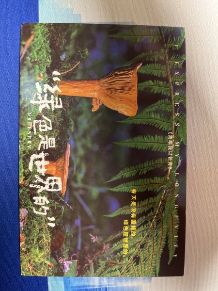 明信片照片