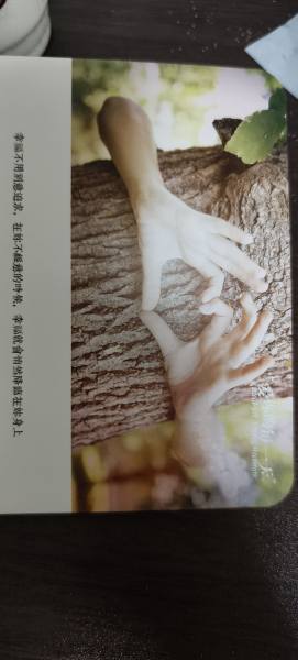 明信片照片
