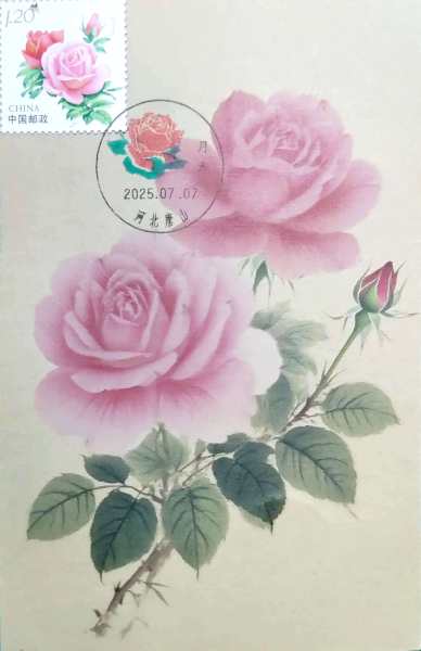 明信片照片