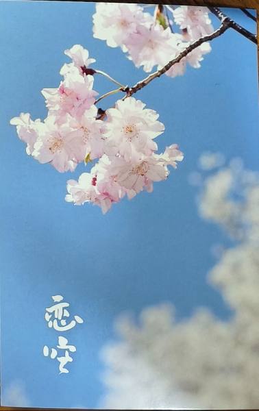 明信片照片