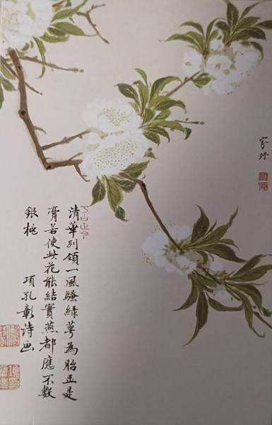 明信片照片