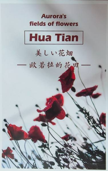 明信片照片