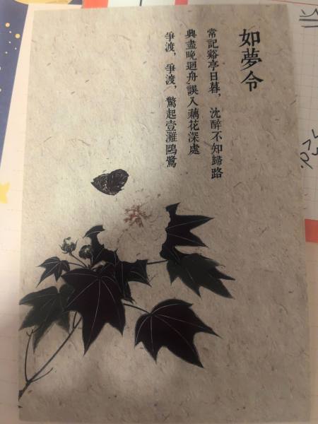 明信片照片