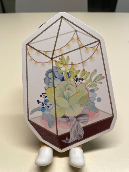 明信片照片