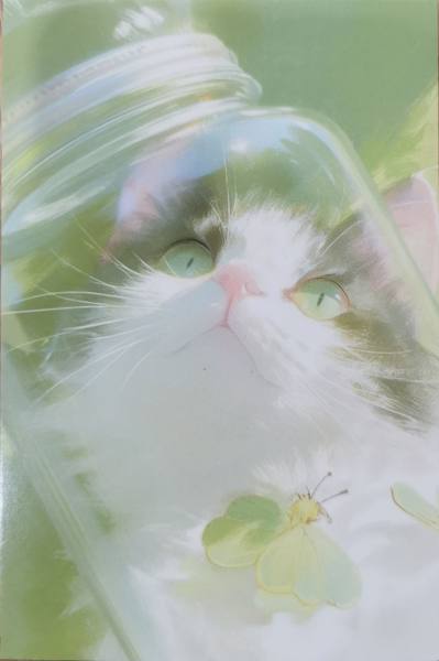 明信片照片