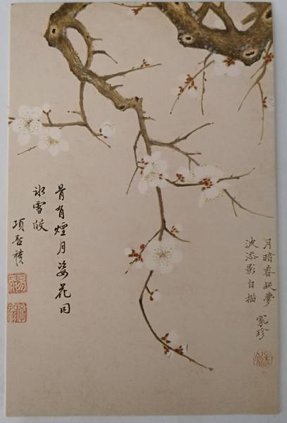 明信片照片