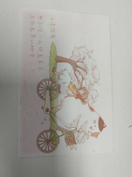 明信片照片