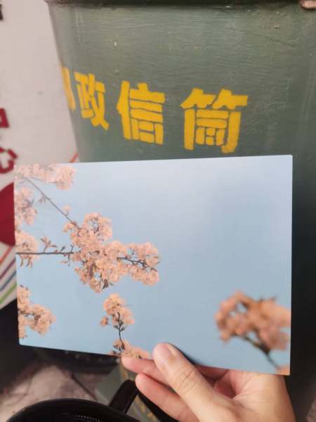明信片照片