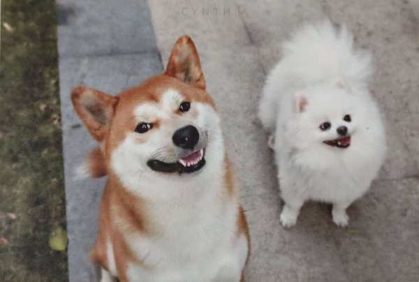明信片照片