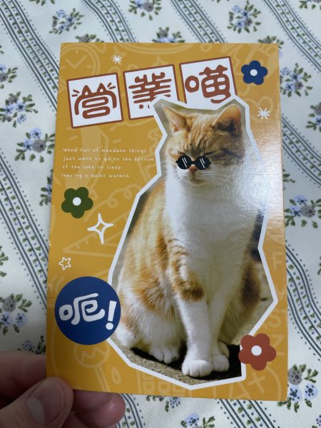 明信片照片