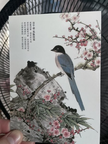 明信片照片