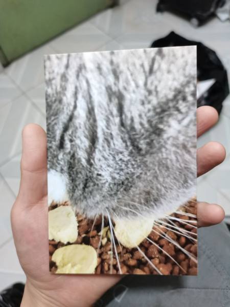明信片照片