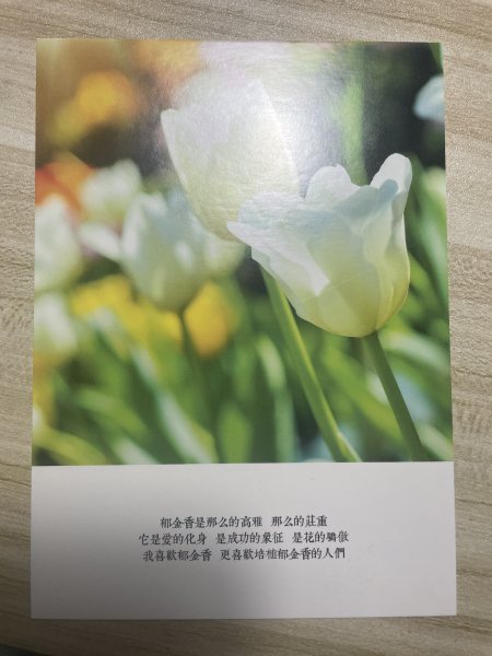 明信片照片