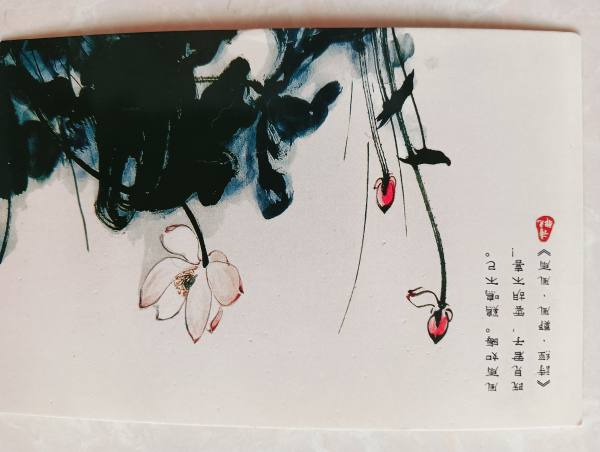 明信片照片