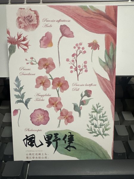 明信片照片