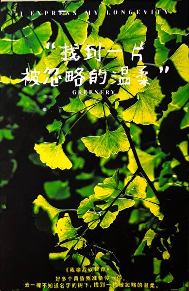 明信片照片