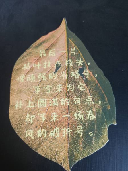 明信片照片