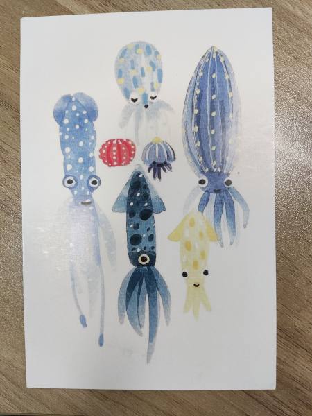 明信片照片