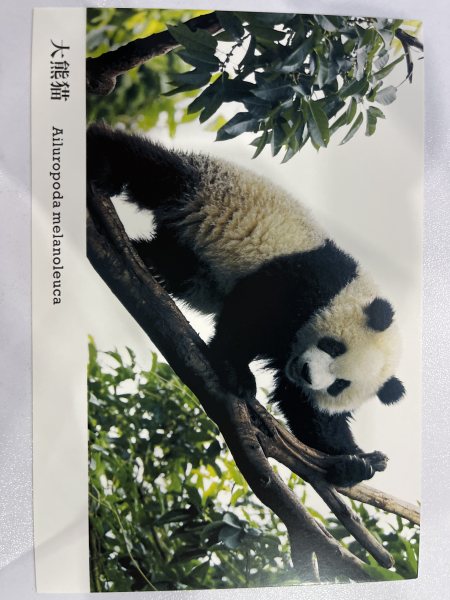 明信片照片