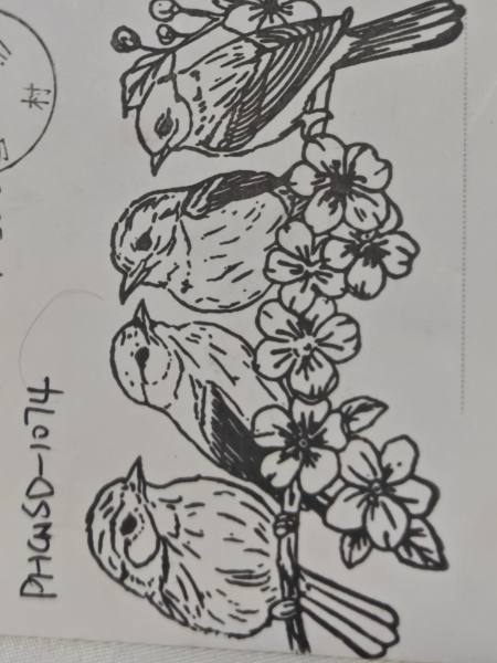明信片照片