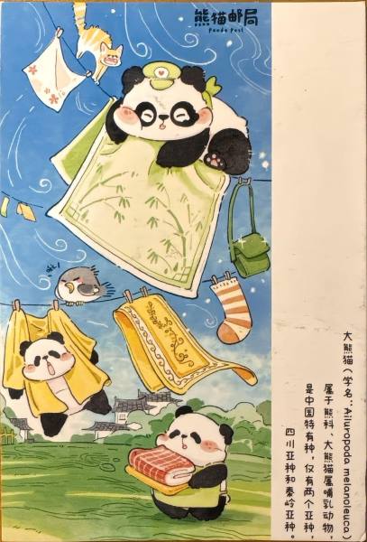 明信片照片