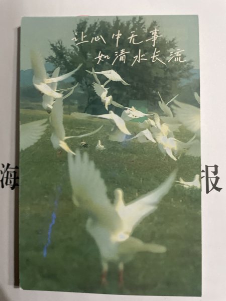 明信片照片