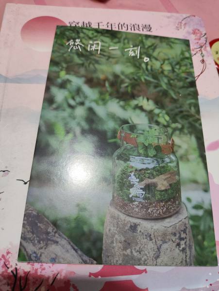 明信片照片