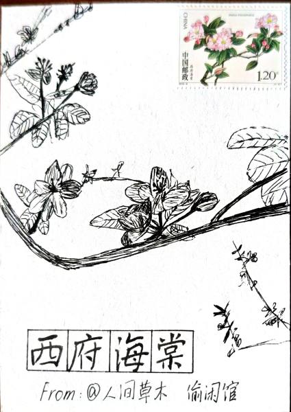 明信片照片