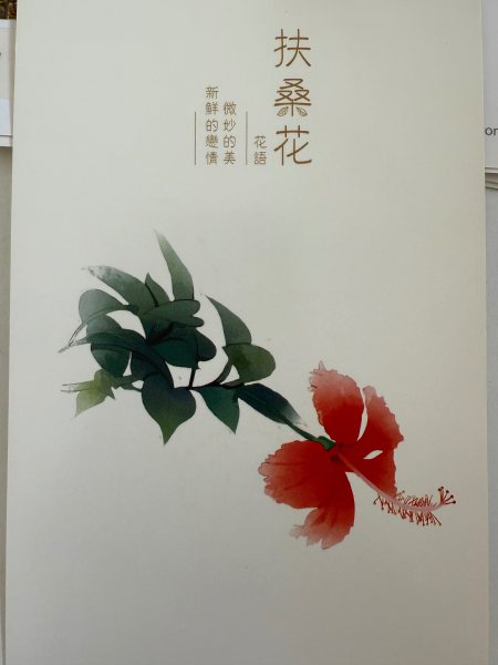 明信片照片
