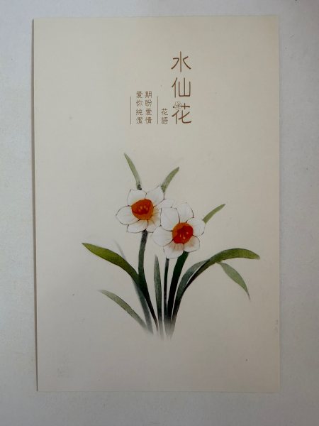 明信片照片