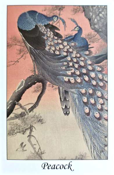 明信片照片