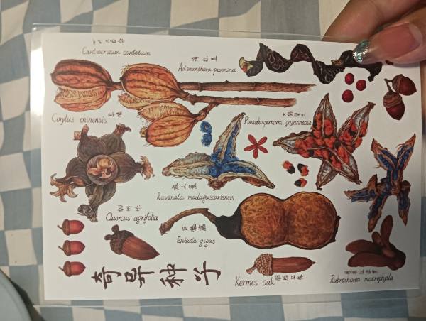 明信片照片