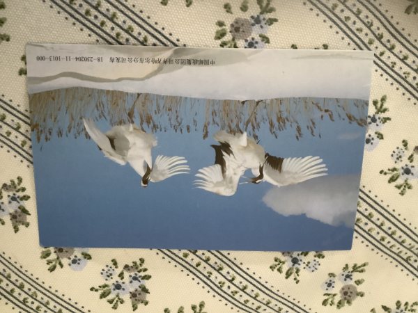 明信片照片
