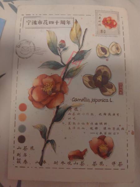 明信片照片