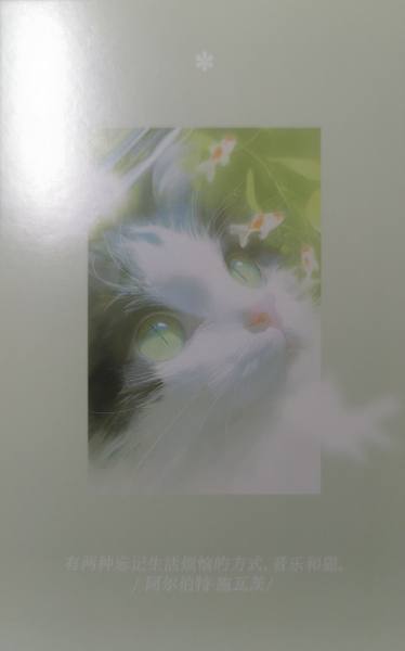 明信片照片